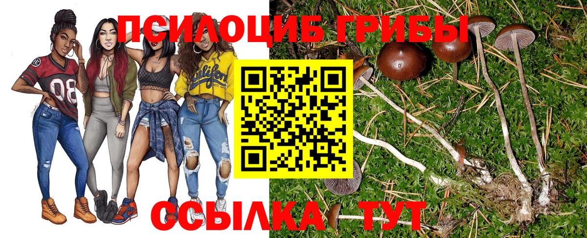 Галлюциногенные грибы прущие грибы  Вход с VPN  Мончегорск 