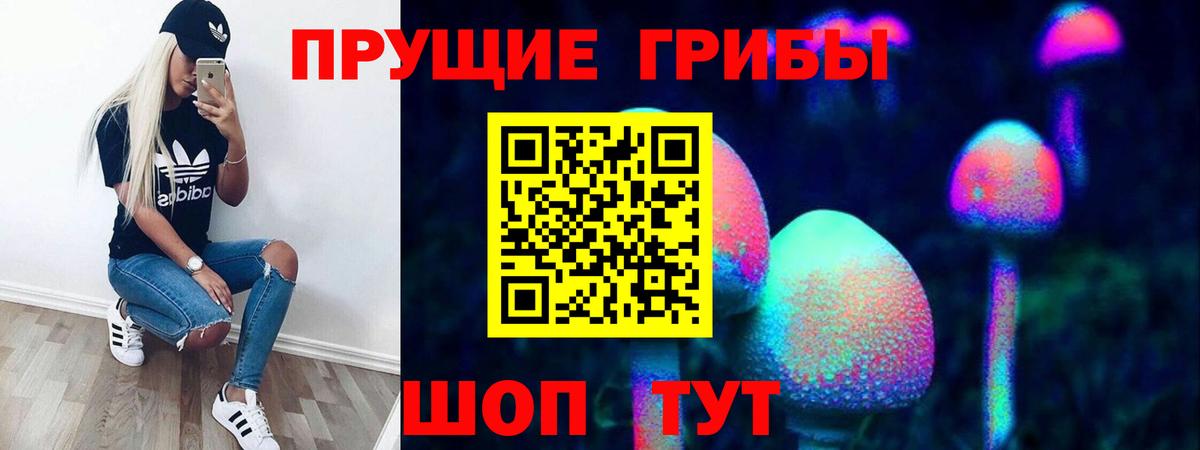 Галлюциногенные грибы Magic Shrooms Мончегорск