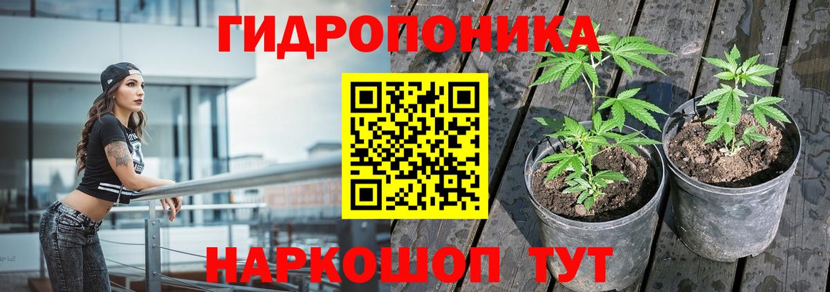 Марихуана марихуана  Бошки Шишки марихуана  МАРИХУАНА THC 21%  Мончегорск  Бошки марихуана OG Kush  Вход с VPN 